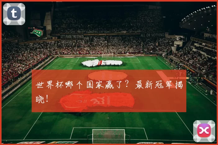 世界杯哪个国家赢了？最新冠军揭晓！