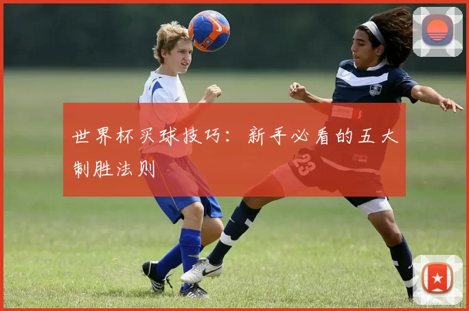 世界杯买球技巧：新手必看的五大制胜法则