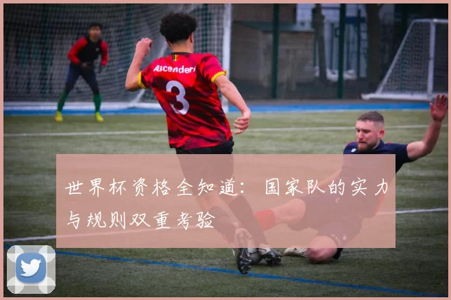 世界杯资格全知道：国家队的实力与规则双重考验