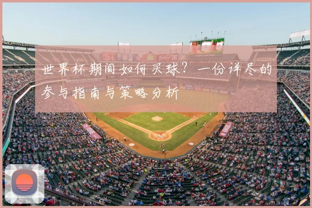 世界杯期间如何买球？一份详尽的参与指南与策略分析