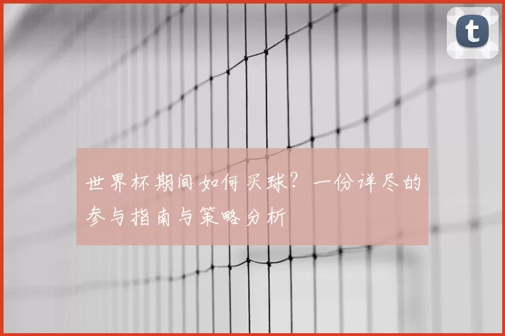世界杯期间如何买球？一份详尽的参与指南与策略分析