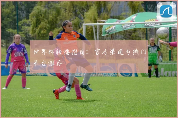 世界杯转播指南：官方渠道与热门平台推荐