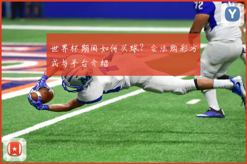 世界杯期间如何买球？合法购彩方式与平台介绍