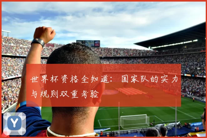 世界杯资格全知道：国家队的实力与规则双重考验