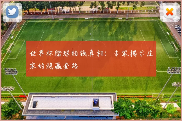 世界杯赌球赔钱真相：专家揭示庄家的稳赢套路