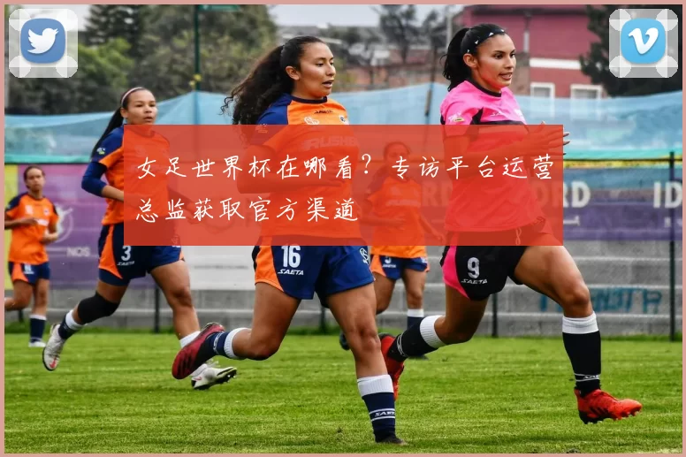 女足世界杯在哪看？专访平台运营总监获取官方渠道