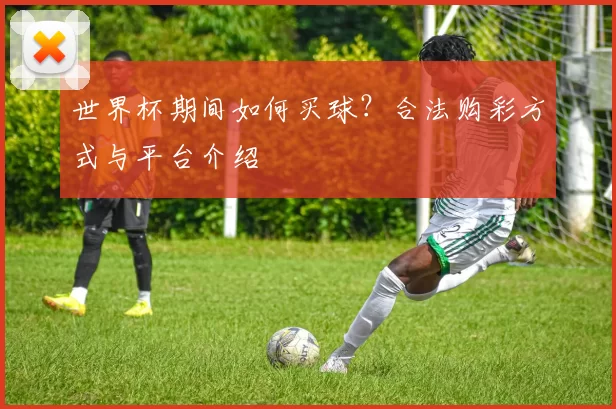 世界杯期间如何买球？合法购彩方式与平台介绍